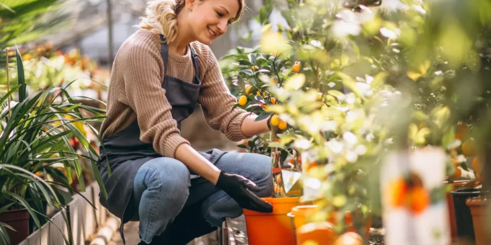 Porównanie rejestrów produktów i opakowań w Hiszpanii: Ecoembes, Ecoembalajes i systemy regionalne