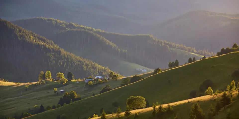 Ochrona środowiska dla firm prawnych: Jak wdrożyć zrównoważone praktyki w branży prawnej