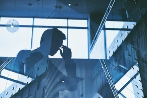 Porównanie włoskich baz danych produktów z innymi krajami UE — wnioski dla międzynarodowych firm